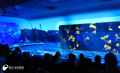 ナイトアクアリウムで有名な江の水の3Dプロジェクションマッピングの画像02