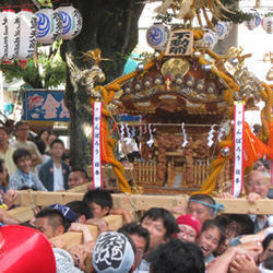 東京のお祭りと言えば御神輿を担ぐ人々の画像