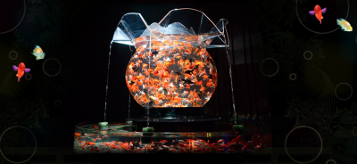 金魚のナイト、アクアリウムが名古屋で開催の画像01