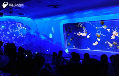 子どもに人気の新江ノ島水族館で開催しているショーを見学する観客の画像
