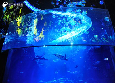 ナイトアクアリウムで有名な江の水の3Dプロジェクションマッピングの画像01