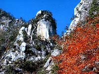 山梨の紅葉のおすすめスポット画像02