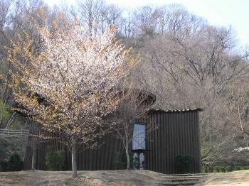 ムーミンの世界を体験できる埼玉・あけぼの子どもの森公園の画像02