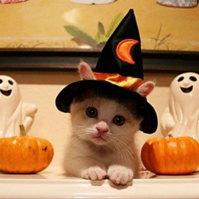 USJのハロウィンイベントに子連れでおでかけ