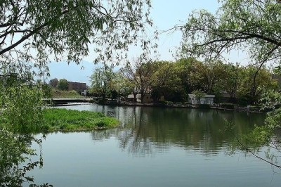 山梨県の観光におすすめな万力公園の画像