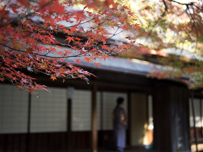 子連れでおでかけにふわさわしい紅葉スポットの関東おすすめのイメージ画像