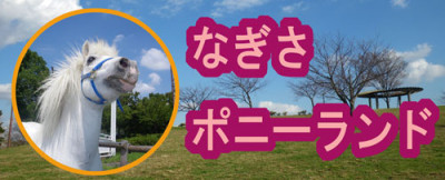 体験型施設で学習におすすめな江戸川区総合レクリエーション公園のイメージ画像01