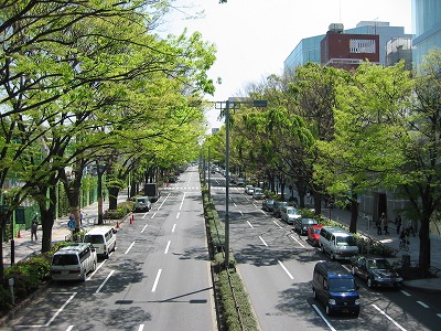 表参道に子連れでおでかけ