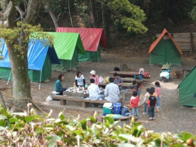愛知こどもの国でキャンプを楽しもうの画像