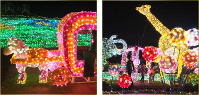 2014年クリスマスの東武動物公園のイルミネーションの画像