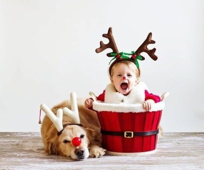 クリスマスにサンタの衣装を着る子どもとトナカイ風犬のイメージ画像