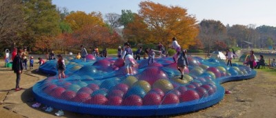 ふなばしアンデルセン公園アスレチックが人気!千葉_船橋市の施設画像03