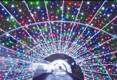 2014年イルミネーション・イベント開催のよみうりランドの画像02