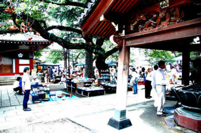新井薬師骨董市の画像