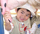 コアラのいる動物園で牛の乳搾りをするイメージ画像