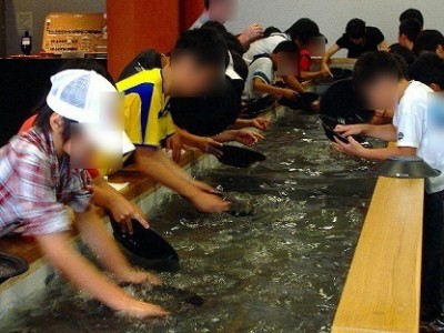 ゴールドラッシュ、湯之奥金山博物館、砂金採りの画像
