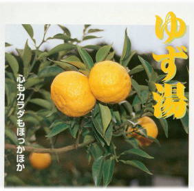 2014冬至イベントゆず湯のイメージ画像
