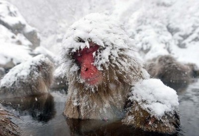 城崎温泉の温泉施設に子連れでおでかけ