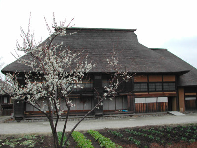 梅の花、仙台の国営みちのく杜の湖畔公園の画像