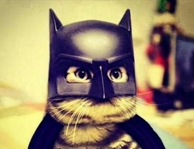 戦隊ショー猫ヒーローのイメージ画像