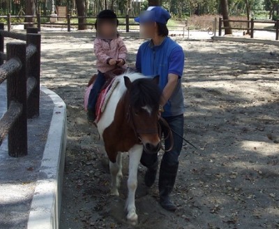 こども動物園、羊、ポニーの画像