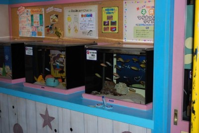 関東・神奈川県ヨコハマおもしろ水族館の画像02