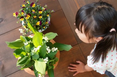 IKEAのインテリアの実例を見に子連れでおでかけのイメージ画像