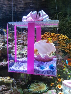 関東・神奈川県ヨコハマおもしろ水族館のイベント画像01