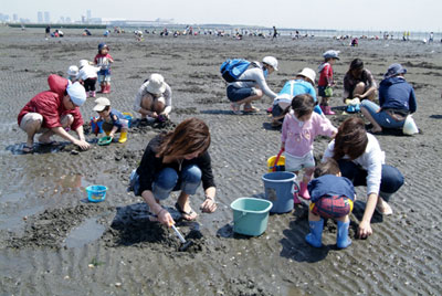 千葉県船橋海岸潮干狩り