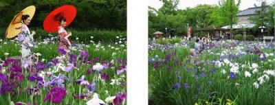 花見をしに名古屋・知立公園におでかけの画像01