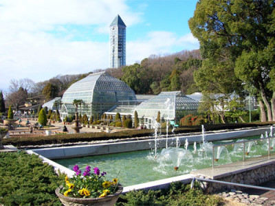 花見をしに名古屋の東山動植物園におでかけの画像02