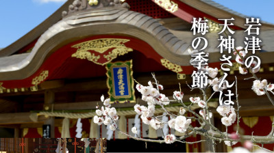 梅の花の名所・岩津天神の画像02