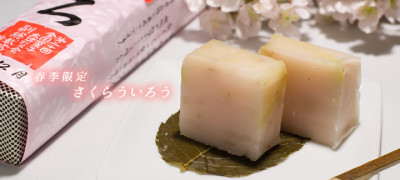名古屋のバレンタインの春和菓子の画像
