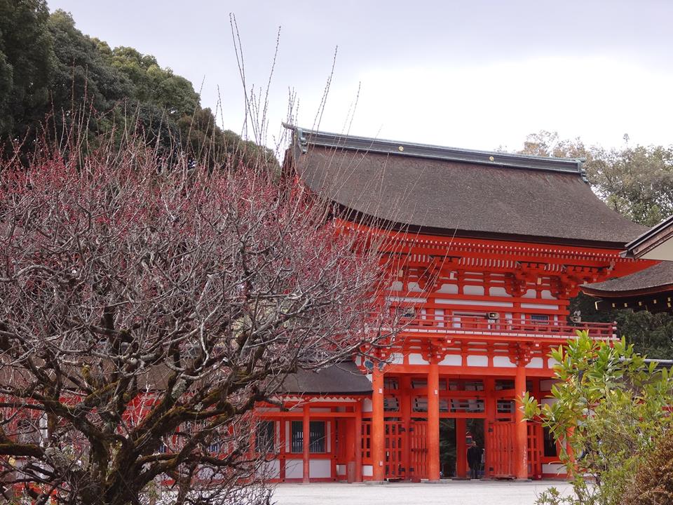 子どもひな祭りイベント下鴨神社の画像