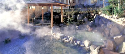 日帰り温浴施設、箱根小涌園 ユネッサンの写真