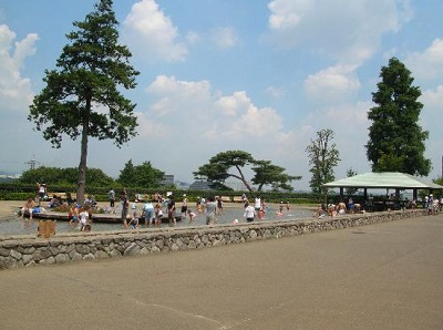 神奈川県公園お弁当ピクニック厚木の画像