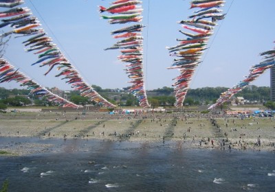 ゴールデンウィークのお出かけ泳げ鯉のぼり相模川の画像