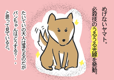 パンを動物と奪い合って子連れおでかけ_5