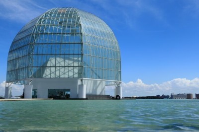 東京の遊び場・葛西臨海水族園の画像01