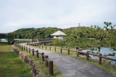 花見もバーベキューも楽しみたい山田池公園の画像