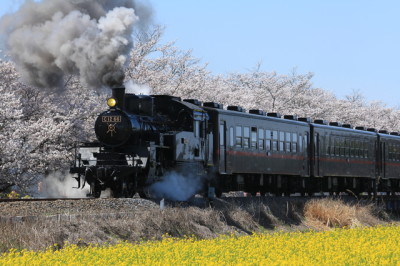 こどもとおでかけ秩父鉄道のイメージ画像