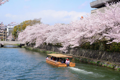 東京の花見クルーズにおすすめしたい船のイメージ画像