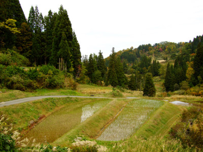 野山北公園のイメージ画像