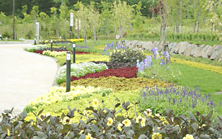 北海道おすすめ公園花の丘の画像