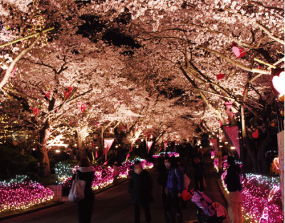 花見も楽しめる東京近郊のよみうりランドの画像