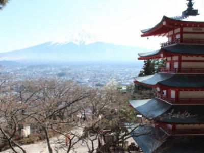 新倉山浅間公園で富士山と桜を楽しむイメージ画像