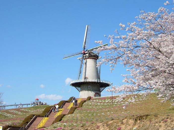 チューリップ公園宮城県長沼の画像
