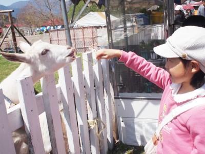 旅行におすすめ東海の富士ミルクランドの画像