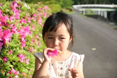 つつじの花が見られる東京子連れスポットのイメージ画像