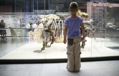恐竜の化石を見る男の子